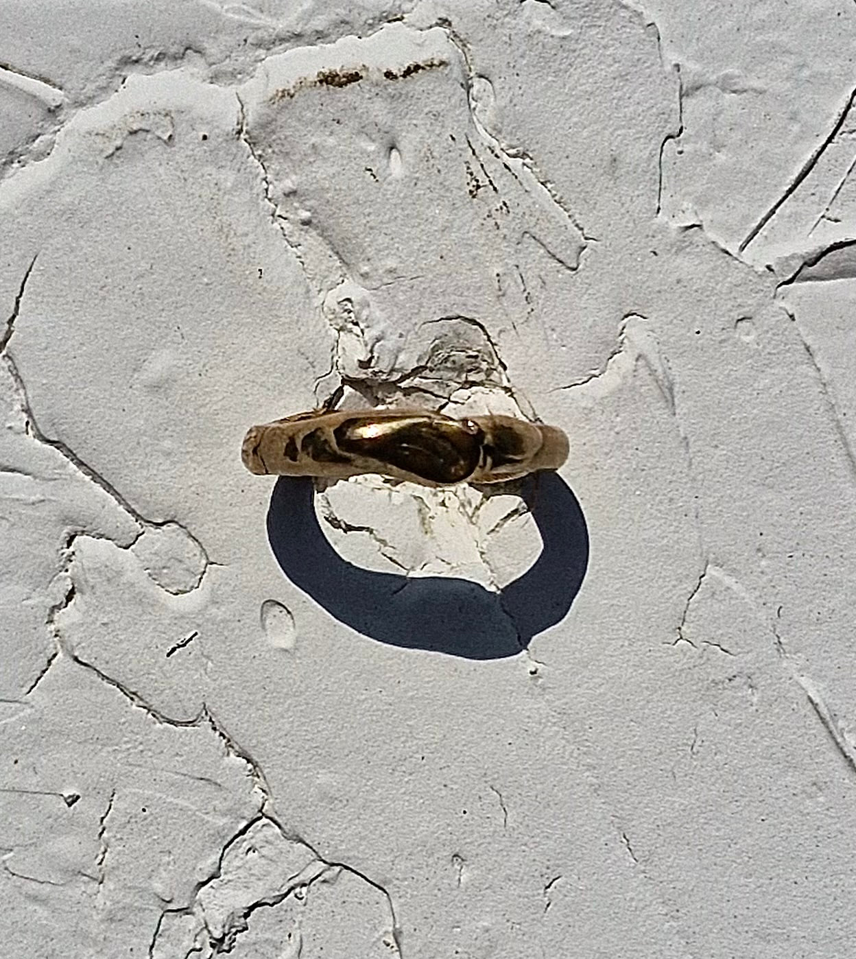 Marrone toe ring